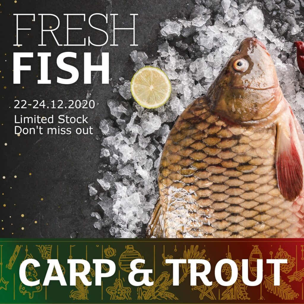 Fresh fish graphic